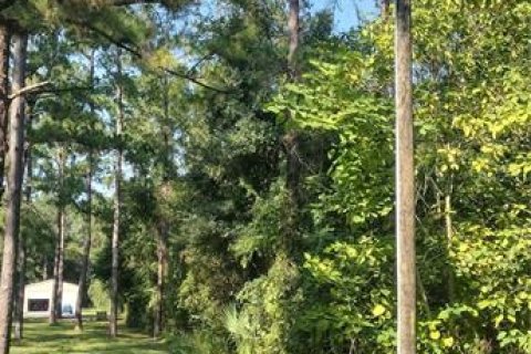 Terreno en venta en Ocala, Florida № 1403316 - foto 3