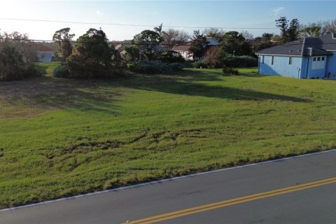 Terreno en venta en Placida, Florida № 1419021 - foto 10