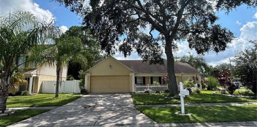 House in Tampa, Florida 3 bedrooms, 152.64 sq.m. № 1369599