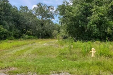 Купить земельный участок в Окичоби, Флорида № 827790 - фото 2