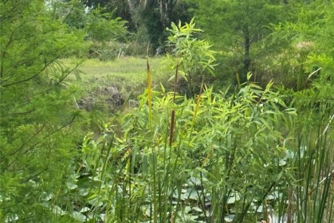 Land in Okeechobee, Florida № 1155542 - photo 9