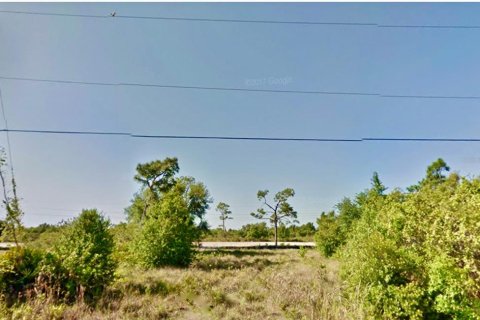 Terreno en venta en Punta Gorda, Florida № 1251488 - foto 5