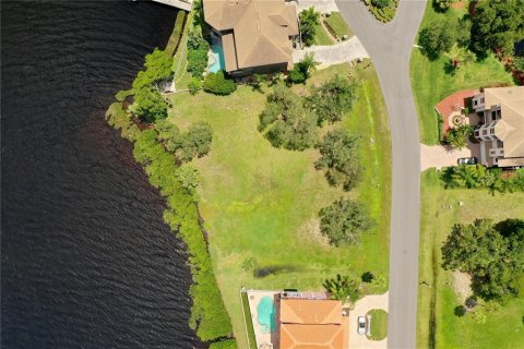 Купить земельный участок в Порт-Ричи, Флорида № 214159 - фото 14
