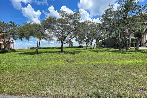 Купить земельный участок в Порт-Ричи, Флорида № 214159 - фото 25