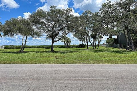 Купить земельный участок в Порт-Ричи, Флорида № 214159 - фото 6