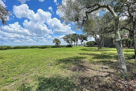 Купить земельный участок в Порт-Ричи, Флорида № 214159 - фото 23