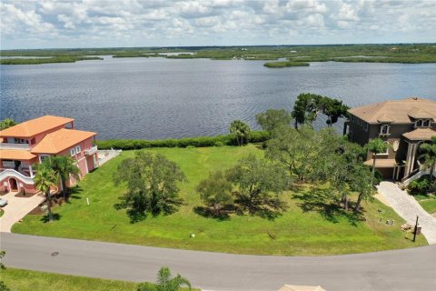 Купить земельный участок в Порт-Ричи, Флорида № 214159 - фото 1