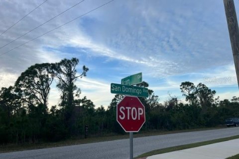 Land in Port Charlotte, Florida № 1296032 - photo 8