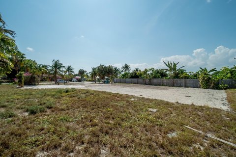 Terrain à vendre à Boynton Beach, Floride № 1099201 - photo 2