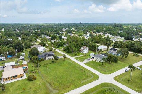 Land in Vero Beach, Florida № 1367990 - photo 17