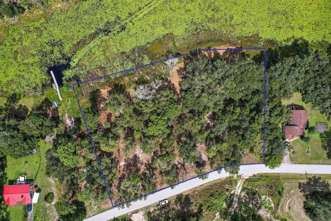 Terreno en venta en Dunnellon, Florida № 1311426 - foto 17