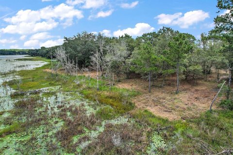 Terreno en venta en Dunnellon, Florida № 1311426 - foto 16