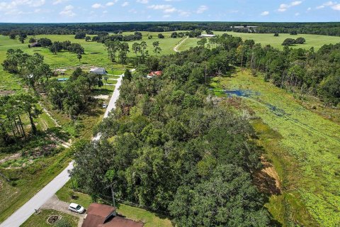 Terreno en venta en Dunnellon, Florida № 1311426 - foto 14