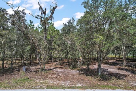 Terrain à vendre à Dunnellon, Floride № 1311426 - photo 8