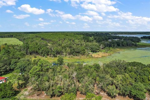 Land in Dunnellon, Florida № 1311426 - photo 10