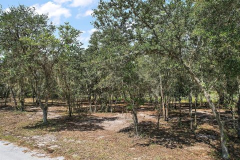 Terreno en venta en Dunnellon, Florida № 1311426 - foto 9