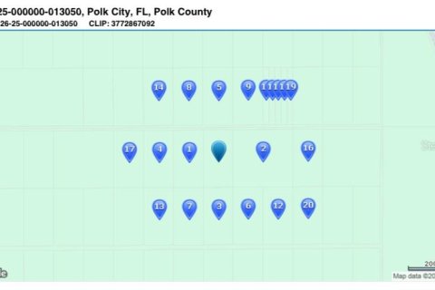 Купить земельный участок в Полк-Сити, Флорида № 1425490 - фото 2
