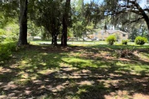 Terreno en venta en Alachua, Florida № 1364341 - foto 2