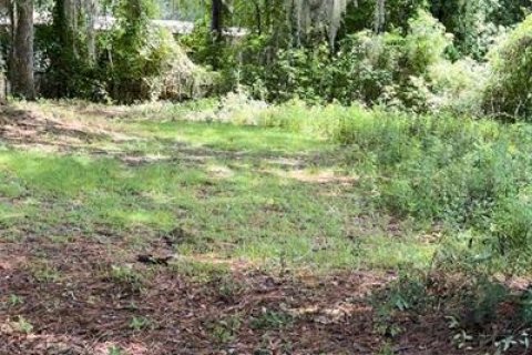 Terreno en venta en Alachua, Florida № 1364341 - foto 1