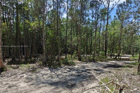 Land in Jupiter, Florida № 1331115 - photo 1