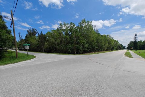 Land in Jupiter, Florida № 1331115 - photo 3