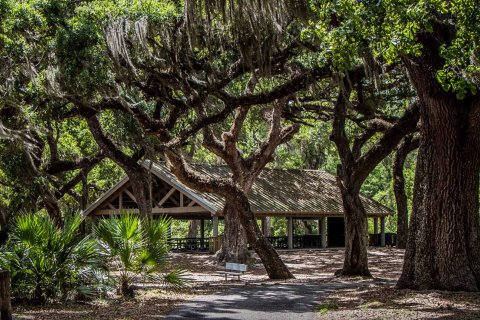 SPRING HILL in Spring Hill, Florida № 208175 - photo 2