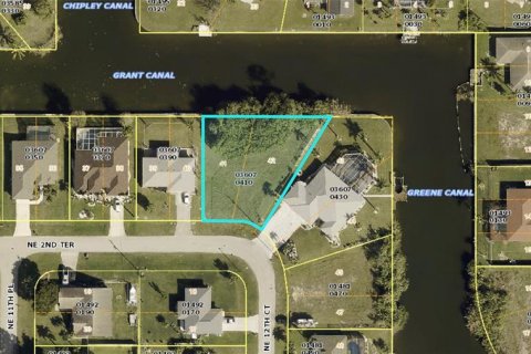 Land in Cape Coral, Florida № 1333772 - photo 1