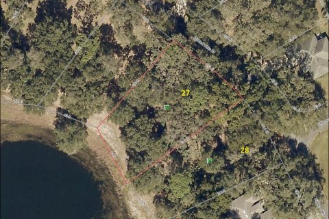 Terreno en venta en Lady Lake, Florida № 1333769 - foto 3