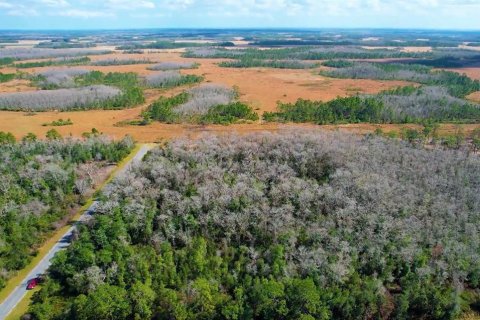 Terreno en venta en Orlando, Florida № 1333771 - foto 2