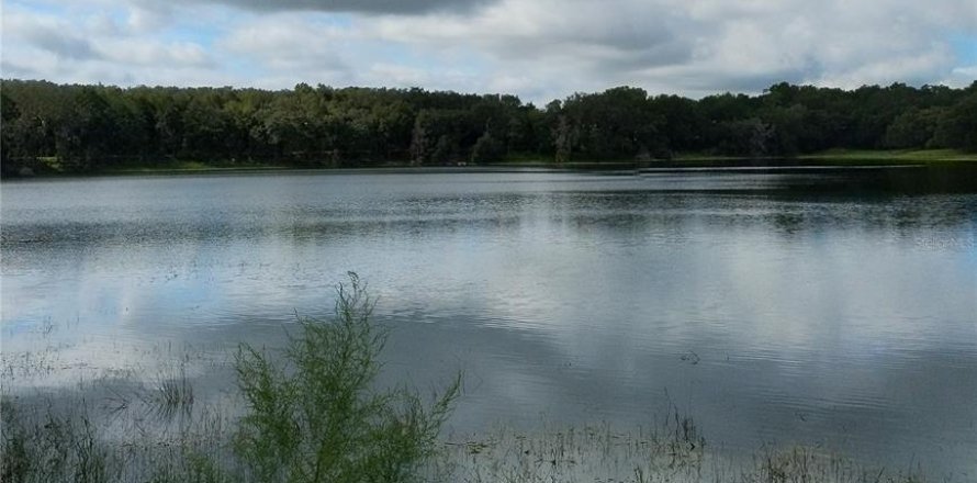 Terreno en Lady Lake, Florida № 1333774