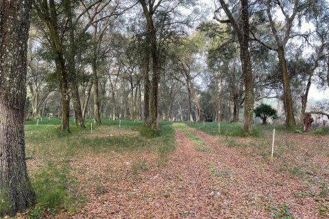 Terrain à vendre à Seville, Floride № 1299153 - photo 6