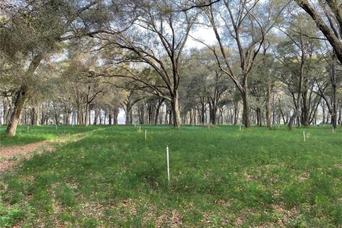 Terreno en venta en Seville, Florida № 1299153 - foto 2