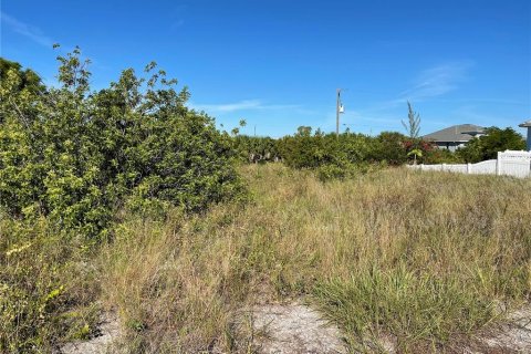 Купить земельный участок в Порт-Шарлотт, Флорида № 214463 - фото 12