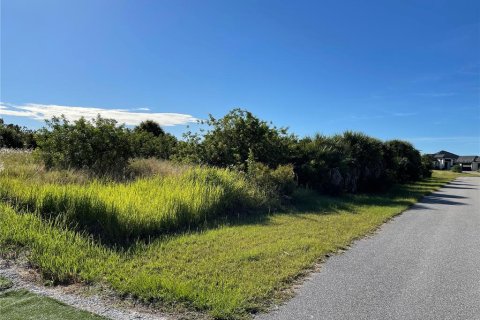 Terrain à vendre à Port Charlotte, Floride № 214463 - photo 1