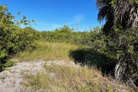 Купить земельный участок в Порт-Шарлотт, Флорида № 214463 - фото 13