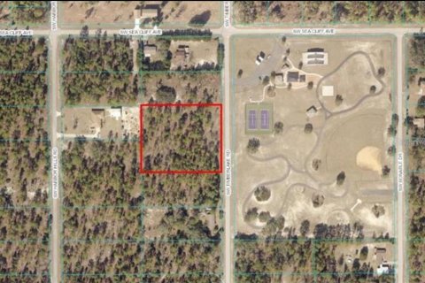 Land in Dunnellon, Florida № 1296927 - photo 1