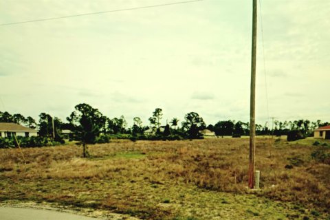 Terrain à vendre à Lehigh Acres, Floride № 869344 - photo 2