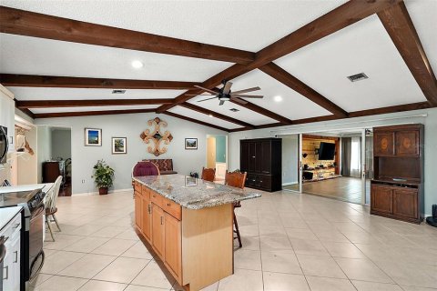 Casa en venta en Leesburg, Florida, 3 dormitorios, 225.38 m2 № 1363297 - foto 10