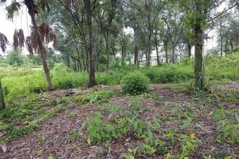 Terreno en venta en Dover, Florida № 1299029 - foto 7