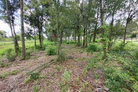 Terreno en venta en Dover, Florida № 1299029 - foto 10