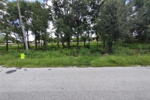 Land in Dover, Florida № 1299029 - photo 2