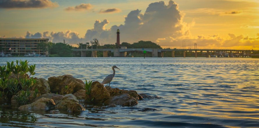 Condo in Jupiter, Florida, 2 bedrooms  № 1160515