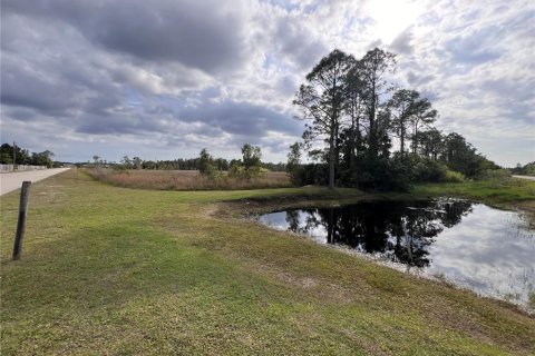 Land in Punta Gorda, Florida № 1401022 - photo 9