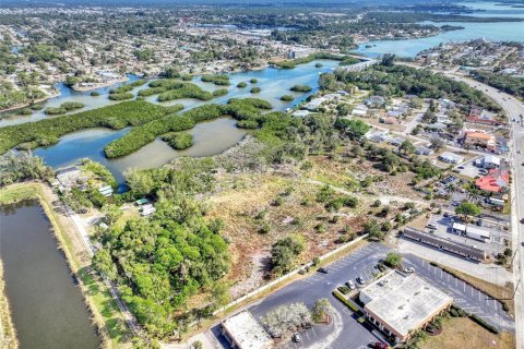 Terreno en venta en Englewood, Florida № 992385 - foto 3