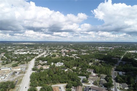 Land in Spring Hill, Florida № 1245099 - photo 10