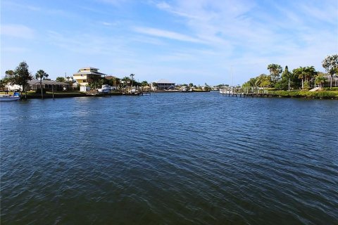 Terreno en venta en Apollo Beach, Florida № 1427050 - foto 7