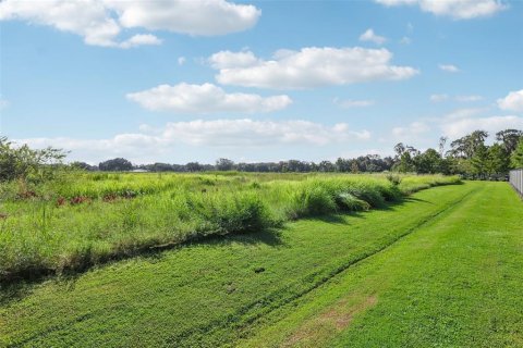 Land in Dover, Florida № 1373595 - photo 25