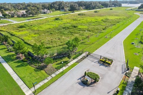 Terreno en venta en Dover, Florida № 1373595 - foto 13