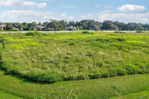 Terreno en venta en Dover, Florida № 1373595 - foto 14