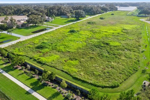 Terreno en venta en Dover, Florida № 1373595 - foto 9